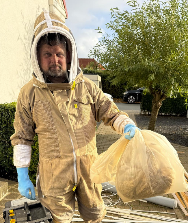 Sven med et stort fjernet hvepsebo